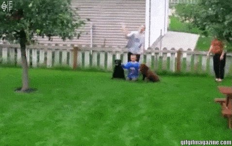 You are currently viewing CCTV Funny Tweets – 4:53 AM – 27 Jun 2018