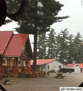 You are currently viewing CCTV Funny Tweets – 10:48 AM – 10 Jul 2018