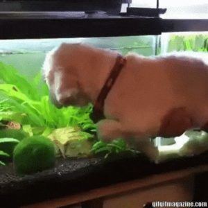 Read more about the article CCTV Funny Tweets – 11:38 AM – 11 Jul 2018