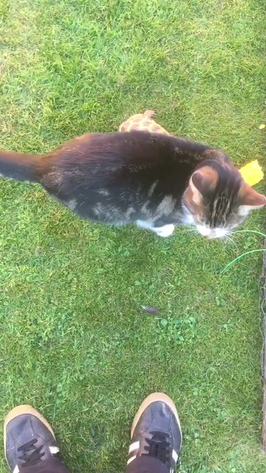 You are currently viewing CCTV Funny Tweets – 5:25 AM – 8 Jul 2018