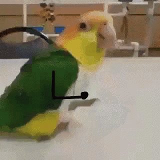 You are currently viewing CCTV Funny Tweets – 10:32 PM – 5 Jul 2018