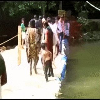 You are currently viewing CCTV Funny Tweets – 11:05 AM – 26 Jul 2018