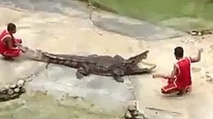 Read more about the article CCTV Funny Tweets – 11:41 AM – 5 Jul 2018