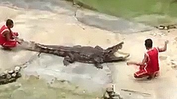 You are currently viewing CCTV Funny Tweets – 11:41 AM – 5 Jul 2018