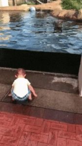 Read more about the article CCTV Funny Tweets – 11:00 AM – 23 Jul 2018