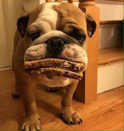 You are currently viewing CCTV Funny Tweets – 10:52 AM – 2 Jul 2018