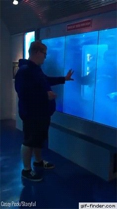 You are currently viewing CCTV Funny Tweets – 11:52 AM – 29 Jul 2018