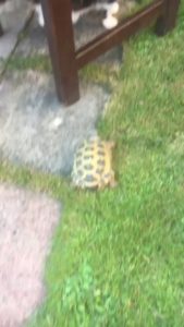 Read more about the article CCTV Funny Tweets – 3:59 AM – 8 Jul 2018