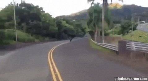 You are currently viewing CCTV Funny Tweets – 4:51 AM – 23 Jul 2018