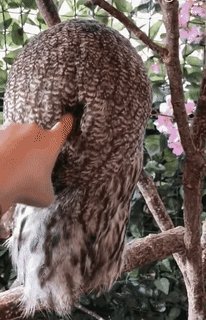 You are currently viewing CCTV Funny Tweets – 10:29 PM – 2 Aug 2018