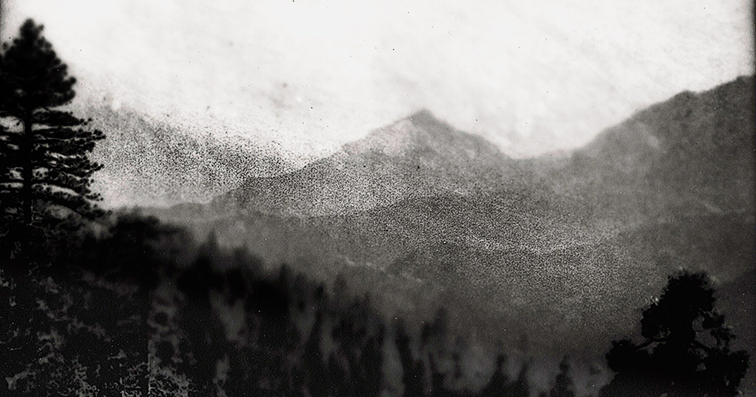 You are currently viewing Ah, the Beauty of Nature … Seen Through Creepy Webcams – CCTVSG.net