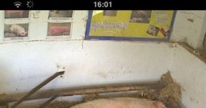 Read more about the article SurveillanceShaker Shows CCTV Feeds On iPhone – CCTVSG.net